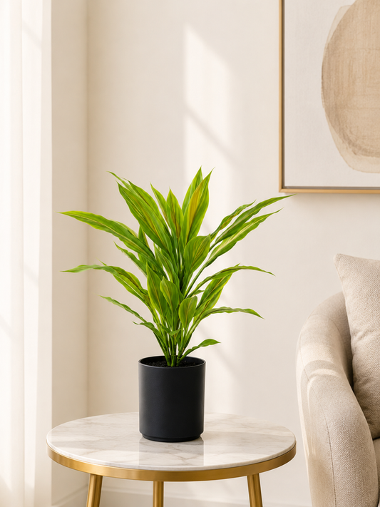 Faux Dracaena Plant - 55CM